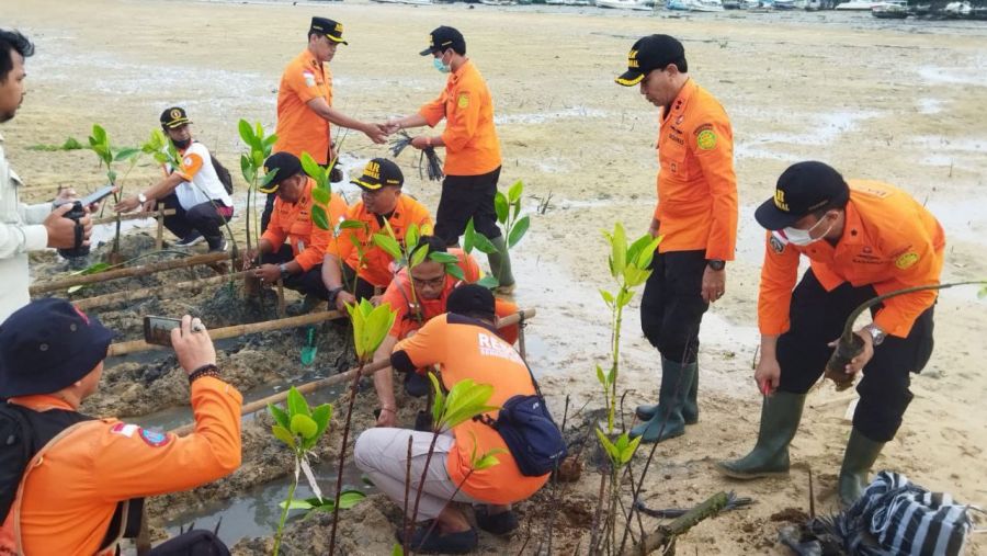 Bersama Basarnas, Senkom Rescue Bali Ikuti Penanaman Bibit Mangrove