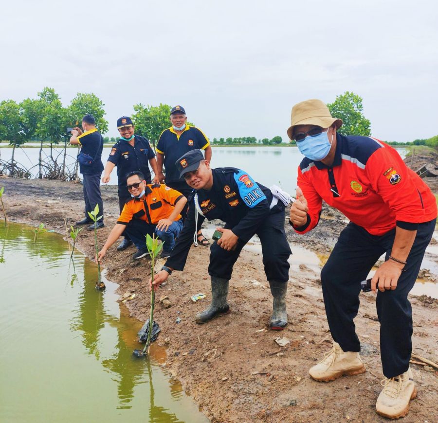 Hijaukan Pesisir Pantai, Senkom Mitra Polri Karawang Tanam Mangrove